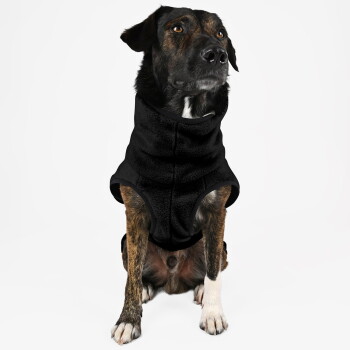 Schwarzer und brauner Hund trägt eine schwarze Fleeceweste und sitzt vor weißem Hintergrund.