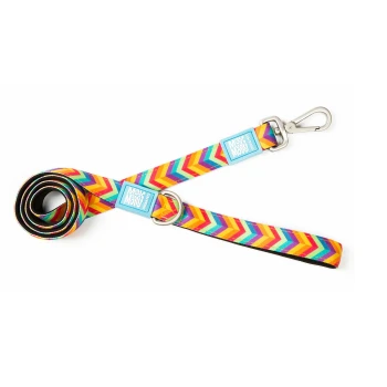 Bunte Hundeleine mit Chevron-Muster, Metallclip und blauen „Max and Molly“-Anhängern auf weißem Hintergrund.