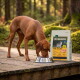 Brauner Hund frisst aus einer Metallschüssel auf einer Holzplattform neben einem Sack mit der Aufschrift 'WILDERNESS Pure Chicken Adult'.