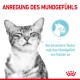 Sensory Smell Taste Feel Multipack in Soße 12x85 g