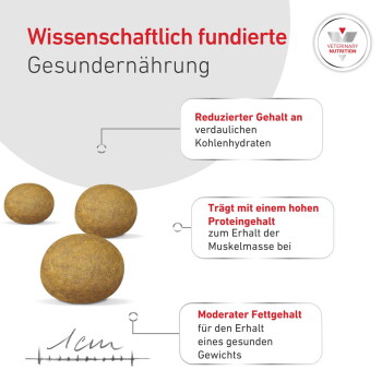 Drei braune Trockenfutterkugeln; deutsche Überschrift 'Wissenschaftlich fundierte Gesunde Ernährung'; Beschriftungen: reduzierter Kohlenhydratanteil, hoher Proteingehalt.