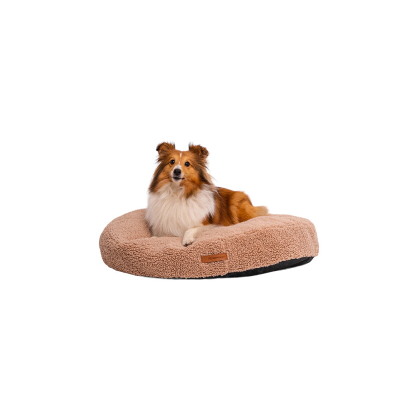 Rexproduct Coco Teddy S