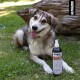 Zeck-Attack 200ml - Zeckenspray für Hunde, Katzen, Haus- und Hoftiere 100 ml