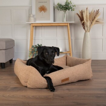 Ein schwarzer Hund, der in einem gemütlichen beigen Haustierbett mit einem 'Scruffs'-Label entspannt, umgeben von einem stilvollen Wohninterieur mit Pflanzen und Dekor.