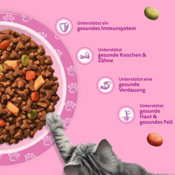 Pfote einer graugestreiften Katze greift in eine Schale mit Katzenfutter auf rosa Hintergrund; deutscher Text: Immunsystem, Knochen & Zähne, Verdauung, Haut & Fell.