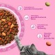 Pfote einer graugestreiften Katze greift in eine Schale mit Katzenfutter auf rosa Hintergrund; deutscher Text: Immunsystem, Knochen & Zähne, Verdauung, Haut & Fell.