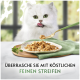 Weiße langhaarige Katze mit grünen Augen leckt sich die Lippen hinter einem Teller mit gezupftem Nassfutter; deutscher Text "FEINEN STREIFEN".