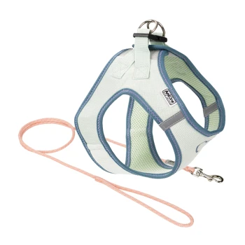 Helles blaues Haustiergeschirr mit passender Leine, mit einem gepolsterten Design und einem Metallbefestigungsring für sicheren Halt.