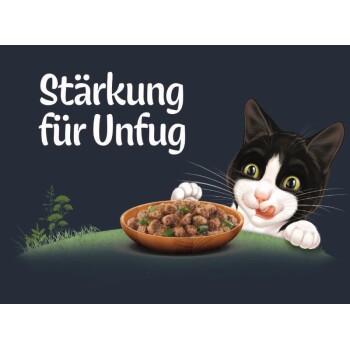 Eine verspielte schwarz-weiße Katze leckt sich die Lippen neben einer Schüssel mit Katzenfutter, mit dem Text "Stärkung für Unfug" darüber.