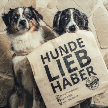Zwei Hunde mit auffälligen blauen und braunen Augen posieren zusammen, einer hält eine Tragetasche, auf der prominent "HUNDE LIEBHABER" steht.