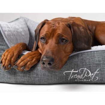 Eine Nahaufnahme von Hundepfoten, die auf einem stilvollen grauen Hundebett mit einem weichen weißen Innenraum ruhen, mit dem Text "TrendPet VitaBed."