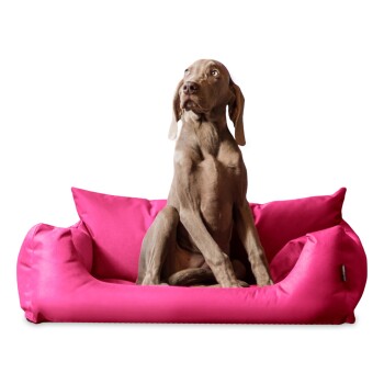 NEMO Hundebett Hundesofa S M L Hundekorb Katzenbett 65 80 100cm pink 80 cm, 22 cm, 60 cm