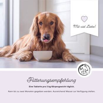 Ein Golden Retriever liegt auf einem Holzboden vor einer weißen Schüssel. Der Text lautet: 'Fütterungsempfehlung: Eine Tablette pro 5 kg Körpergewicht täglich.'