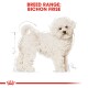 Bichon Frisé Adult 1.5 kg