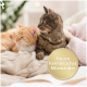 Zwei Katzen, eine orange und flauschig, die andere grau und gestreift, kuscheln zusammen auf einer gemütlichen Decke. Textüberlagerung lautet "Für ein harmonisches Miteinander."