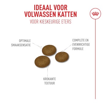 Drie bruine kattenbrokjes met kop 'Ideal for adult cats' en labels voor smaak, knapperige textuur en uitgebalanceerde samenstelling.