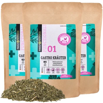GASTRO Kräuter 3x150 g Drei Pakete FAVLY-Hundefutter mit der Aufschrift 'GASTRO KRÄUTER' mit Kräuterzutaten, mit einem Haufen getrockneter Kräuter davor.