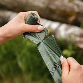 Eine Person mit einem tätowierten Arm zieht einem Hund im Liegen im Freien einen schwarzen Schutzschuh über die Pfote.