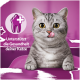 Graue getigerte Katze mit goldenen Augen leckt sich die Zunge auf rosa Hintergrund, Zahn-Symbol und Text 'Unterstützt die Gesundheit deiner Katze'