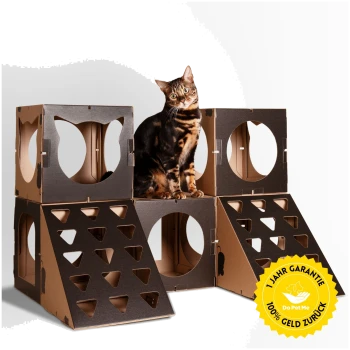 Eine verspielte Bengal-Katze sitzt auf einem mehrstöckigen Pappspielhaus mit ausgeschnittenen Löchern, das ein gelbes "1 Jahr Garantie 100% Geld zurück"-Schild zeigt.