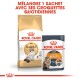 Emballage Royal Canin montrant de la nourriture sèche pour adultes Ragdoll et de la nourriture humide Intense Beauty avec le texte : "Mélangez 1 sachet avec ses croquettes quotidiennes."