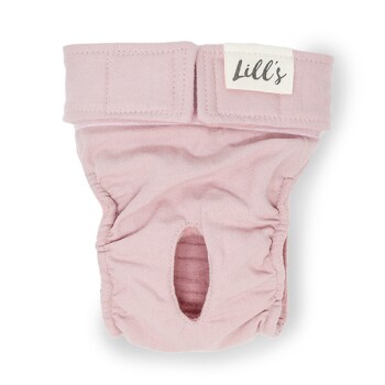 Läufigkeitshöschen "Lou" Stone Grey altrosa XL