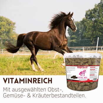Braunes Pferd galoppiert auf einer Wiese neben einem Eimer mit Aufschrift 'Supravit VITAL MIX'; sichtbare Überschrift 'VITAMINREICH'.