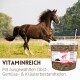 Braunes Pferd galoppiert auf einer Wiese neben einem Eimer mit Aufschrift 'Supravit VITAL MIX'; sichtbare Überschrift 'VITAMINREICH'.