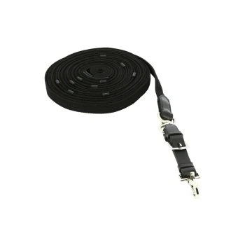 Schwarze Hundetraining-Leine, ordentlich aufgerollt, mit einem stabilen Clip und einem Ledergriff für sicheren Halt.