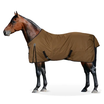 Ein braunes Pferd trägt eine braune Pferde-Decke mit schwarzen Riemen, vor einem weißen Hintergrund stehend.