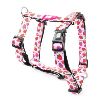 Pinkes Hundegeschirr mit rotem und lila Erdbeermuster und schwarzer Schnalle mit der Aufschrift „Woof Woof“ auf weißem Hintergrund.