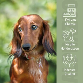 Bild eines Teams aus einem Tiergeschäft mit Hunden, mit dem Text: 'ES WIRD ERNST. LERN UNS KENNEN' und Details über nachhaltige Haustierprodukte, die in Deutschland hergestellt werden.