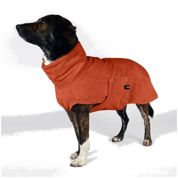 Ein Hund mit einem dunklen Fell steht vor einem schlichten Hintergrund und zeigt sein stilvolles und gemütliches Outfit mit einem orangefarbenen Fleece-Mantel.