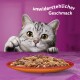 Ciekawska szara kotka tabby pochyla się nad talerzem suchej karmy na purpurowym tle z napisem "unwiderstehlicher Geschmack" powyżej.