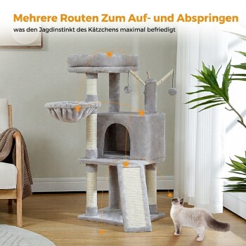 Grauer mehrstufiger Kratzbaum mit Hängematte, Häuschen und Rampe; Katze in der Nähe; deutscher Text: „Mehrere Routen Zum Auf- und Abspringen“.