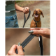 Nahaufnahme einer Person, die eine schwarze Hundeleine mit reflektierender Naht hält, im Hintergrund ein glücklicher brauner Hund.