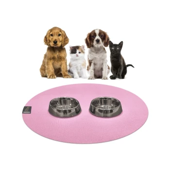 Ein Golden Retriever, ein flauschiges Kätzchen und eine schwarze Katze sitzen vor einer rosa Fressmatte mit zwei Edelstahlschüsseln.