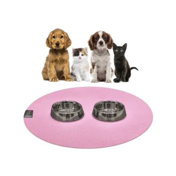 Ein Golden Retriever, ein flauschiges Kätzchen und eine schwarze Katze sitzen vor einer rosa Fressmatte mit zwei Edelstahlschüsseln.