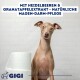 Blauer Hintergrund mit "Spezielle Zusammensetzung," Illustrationen von Heidelbeeren und Granatapfelextrakt sowie dem Gigi-Logo am unteren Rand.