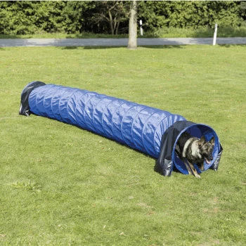 Deutscher Schäferhund läuft aus einem blauen zusammenklappbaren Agility-Tunnel auf Gras in einem Park.