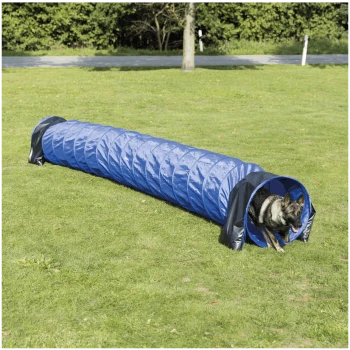 Chien Berger Allemand courant hors d'un tunnel d'agilité pliable bleu sur l'herbe dans un parc.