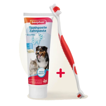 Beaphar Haustierzahnpasta-Tube mit Hund- und Katzenbildern, Lebergeschmack, frischem Atem, plus roter und weißer Zahnbürste.