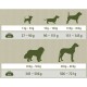 Guide d'alimentation pour chiens : Quantités alimentaires quotidiennes par poids - 1-5 kg (27-90 g), 5-10 kg (90-151 g), 10-30 kg (151-345 g), 30-50 kg (345-506 g), 50-80 kg (506-721 g).