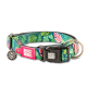 Buntes Hundehalsband mit tropischem Blattmuster, schwarzer Schnalle, Metallring und Anhängern mit der Aufschrift „Max & Molly Urban Pets“ und „Ich bin verloren! Bitte bring mich zurück!“
