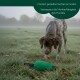 Grüner Romner's Hundetrainingsdummy mit Seilgriff und orangefarbenem Akzent.