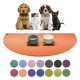 Eine lebendige orangefarbene Tiermatte mit grauen und weißen Schüsseln steht vor einem Golden Retriever Welpen, einem flauschigen Kätzchen, einem braunen Welpen und einer schwarzen Katze.