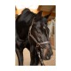 Lederhalfter Landscape kastanie braun Pony