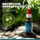 Natürliche Augenpflegeprodukt in einer 20ml Flasche, mit Euphrasia (Augenlicht) und einer Nahaufnahme der Blüten der Pflanze.
