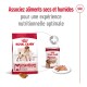 Emballage de nourriture pour chiens Royal Canin pour chiens de taille moyenne, présentant des croquettes sèches et une boîte de nourriture humide, avec un texte promouvant une expérience nutritionnelle optimale.