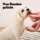 Ein kleiner, flauschiger weißer Hund greift eifrig nach einem Leckerli, das von einer Person mit pinken Nägeln gehalten wird. Der Text "Von Hunden geliebt" wird prominent angezeigt.